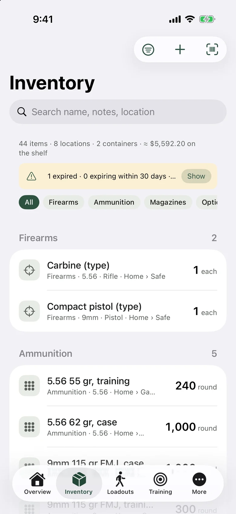 Inventory grouped by category: firearm types with caliber and location, ammunition in rounds, magazines and medical items.